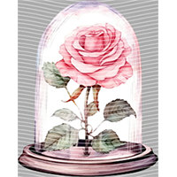 Valentine's Day-QRJ  4615